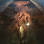 Te Papa Müzesi'nde sergilenen Antarktik dev kalamarı (Mesonychoteuthis hamiltoni).