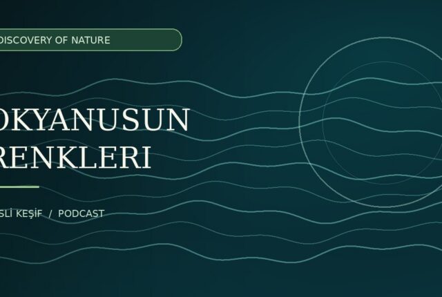 Discovery of Nature podcast için temsili okyanus illüstrasyonu