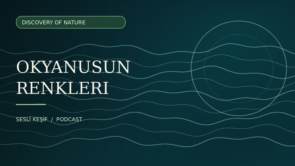 Discovery of Nature podcast için temsili okyanus illüstrasyonu